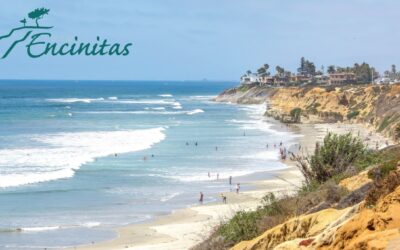 Versatile Professional™ SaaS Case Study: The City of Encinitas