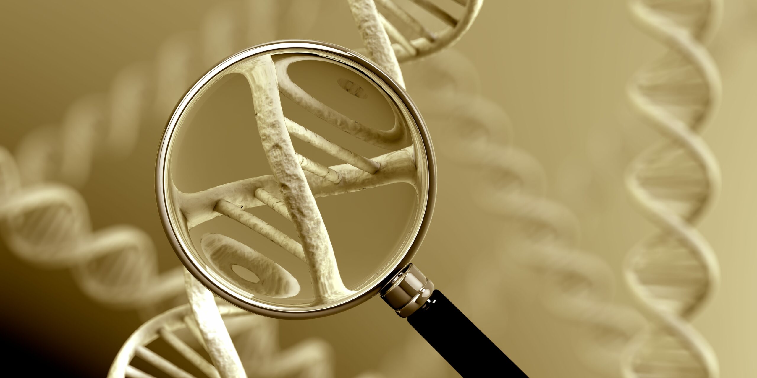 digital graphic of magnifying glass examining DNA strand