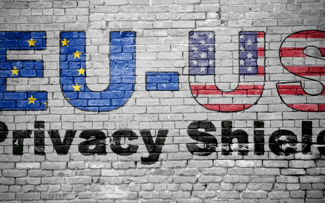 Privacy shield graphic