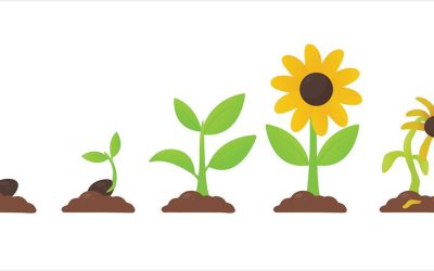 From Seed to Harvest: Cultivating Your Records Life Cycle